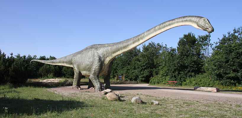 丹麥哥本哈根動物園