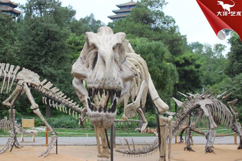 仿真霸王龍骨架化石