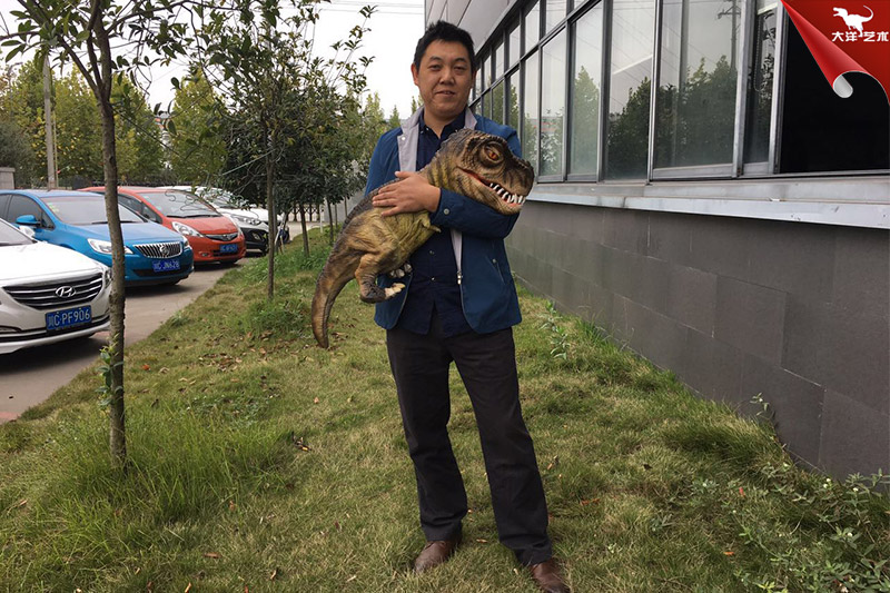 恐龍手偶，抱在手里的恐龍